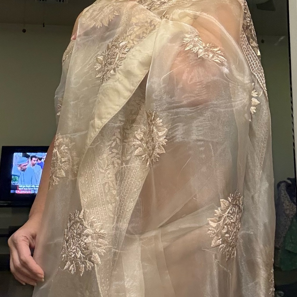Sheer Embroidered Organza saree